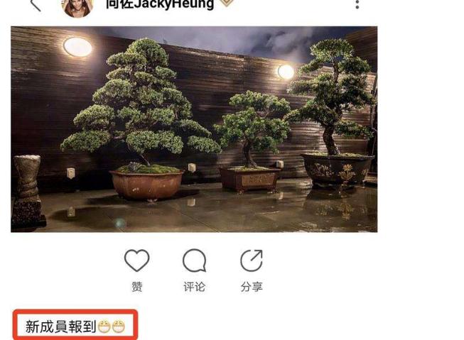  向佐发图暗示郭碧婷怀孕：郭碧婷和向佐怎么认识的 