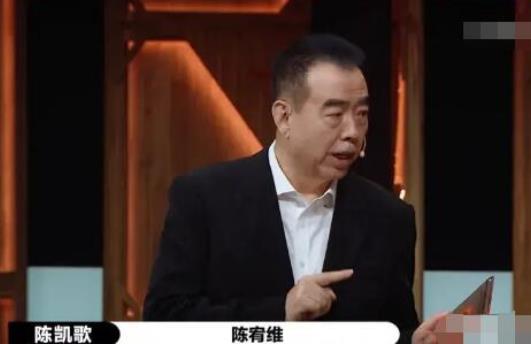 陈凯歌为何力挺陈宥维？陈宥维是陈凯歌什么人