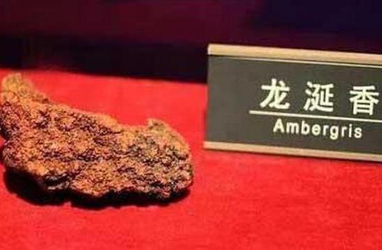 中国最有名的珍贵药材排名10强，黄精你见过吗？