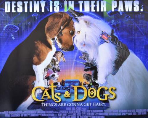 最新关于狗狗的电影盘点，看哭3亿人的狗狗电影