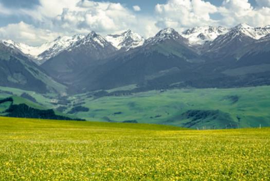 中国十大最美草原高清图片，第一被称牧草王国