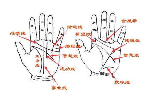 男人富贵手相图解大全：男人手相命运解析