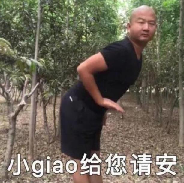 giao啥意思