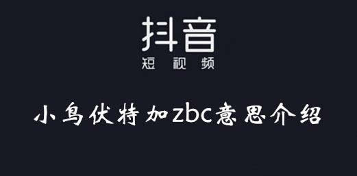 抖音zbc是什么意思：抖音zbc是谁