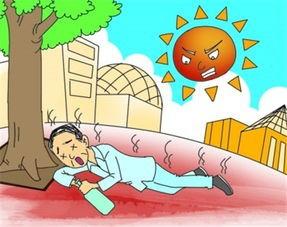天气热预防中暑的方法