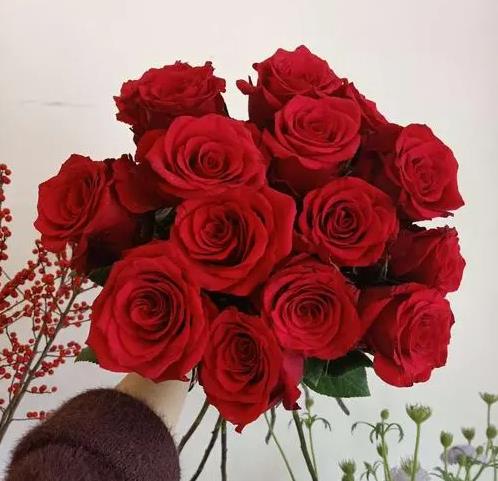 求婚除了送玫瑰花，这4种花也是绝佳之选