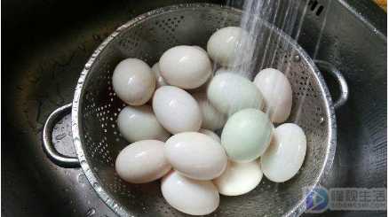 鸭蛋能用水洗了可以保存几天,鸭蛋洗干净后怎么存放时间长
