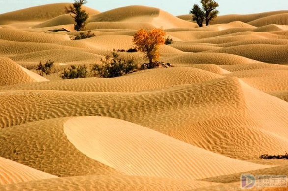 中国最大的沙漠是哪个沙漠(中国最大的沙漠是塔克拉玛干沙漠)