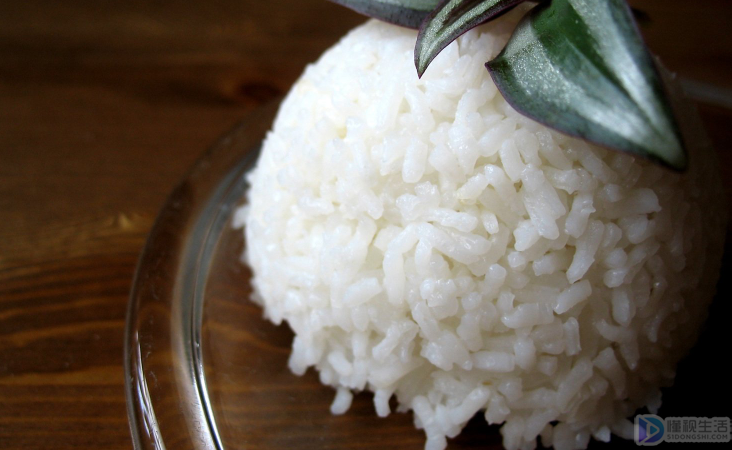 蒸米饭应该放多少水(蒸米饭应该放多少水多少米)