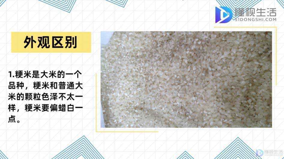 粳米和大米的区别是什么(粳米是什么米 粳米和大米的区别)