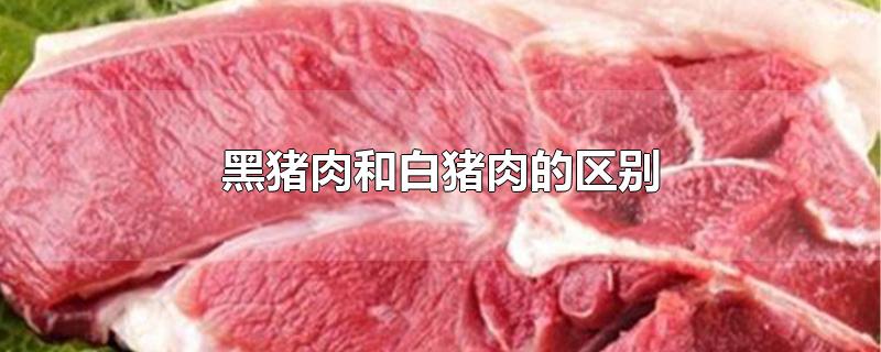 黑猪肉和白猪肉的区别和营养价值(黑猪肉和白猪肉的区别(哪个更好吃)