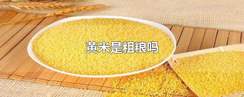 黄米是粗粮吗热量高吗(粗粮有哪几种米)