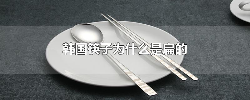 韩国筷子为什么是扁的 知乎(韩国筷子为什么是扁的寓意)