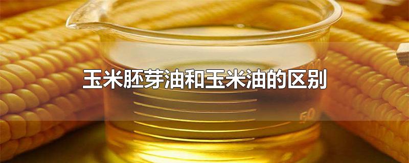 西王玉米胚芽油的价格(西王玉米胚芽油的价格5升)