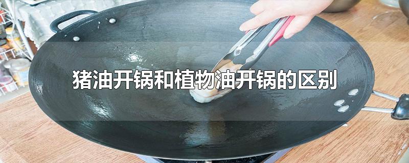 猪油开锅和植物油开锅的区别(开锅用猪油还是植物油)