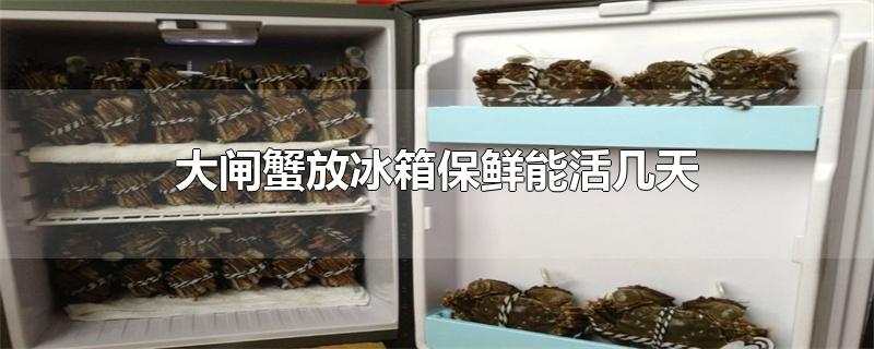 大闸蟹放冰箱保鲜能活几天,大闸蟹可以在冰箱存活几天