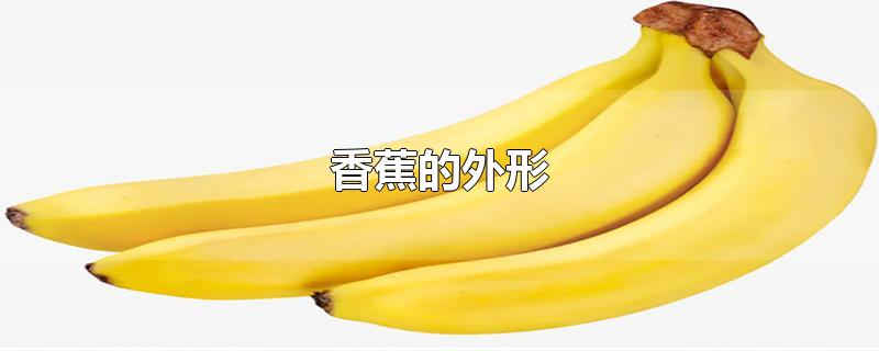 香蕉的外形特点和味道和颜色(香蕉的外形怎么写)