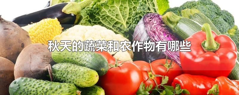 秋天的蔬菜和农作物有哪些(秋天的蔬菜和农作物有哪些图片 简笔画)