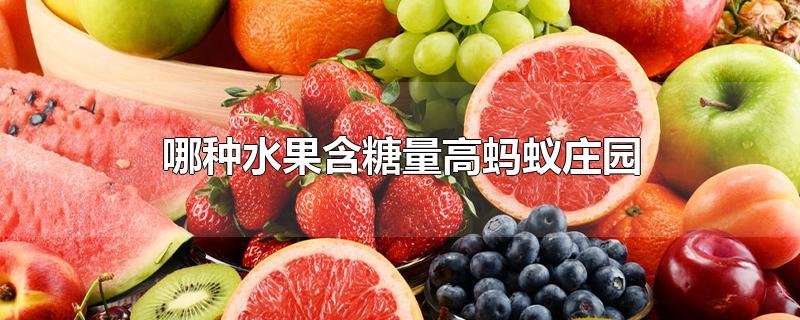 水果含糖量高的水果排名(无糖水果有哪些品种)