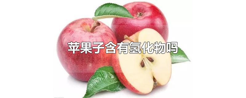 苹果种子里氢化物的含量的多吗(苹果核 氢化物)