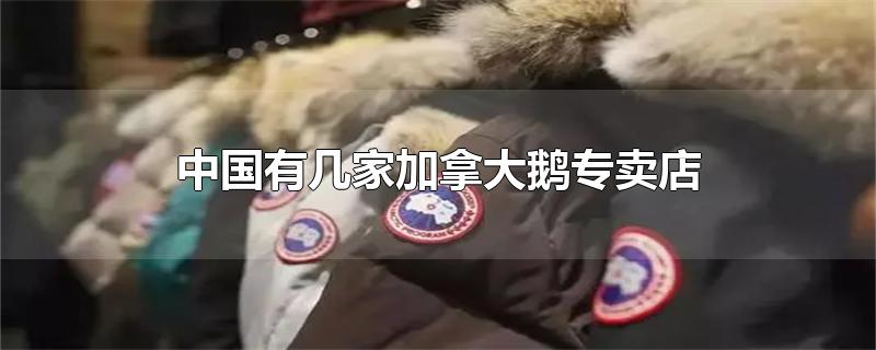 中国有几家加拿大鹅专卖店 2020年(中国有几家加拿大鹅专卖店厦门)