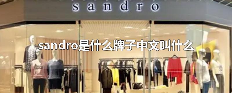 sandro是什么牌子中文叫什么(sandro是什么牌子)