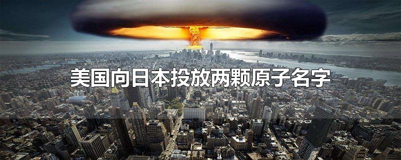 美国投放的两颗核弹名字(美国在日本投的两颗原子核叫什么)