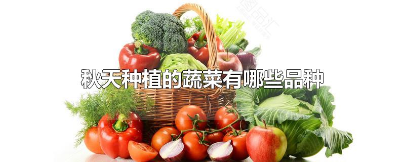 秋天种植的蔬菜有哪些品种家庭小院(秋季蔬菜有哪些品种)
