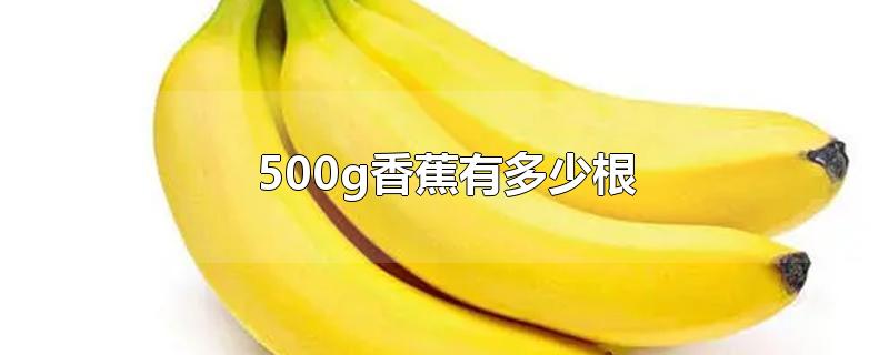 500g香蕉有多少根?(500g的香蕉是多少根)