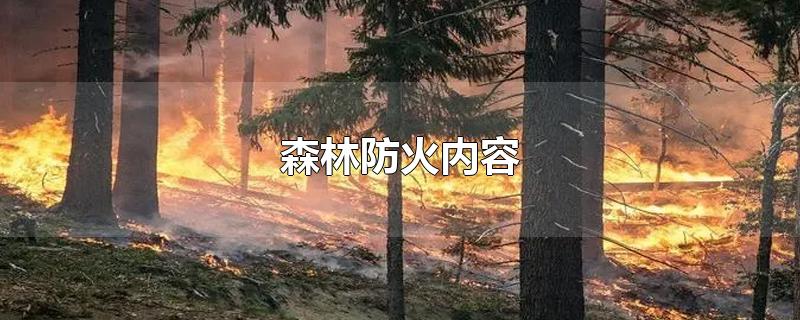 森林防火内容资料(森林防火内容 简短)