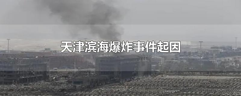 天津滨海区爆炸事件(天津滨海爆炸原因)