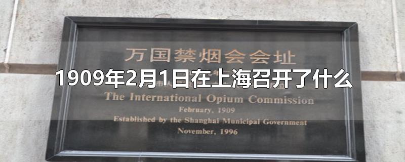 1909年2月1日在上海召开了什么会议(1909年2月1日在上海召开了什么禁烟会议)