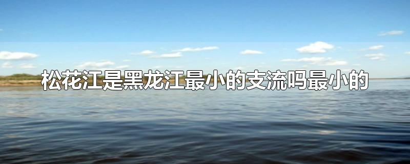 松花江是中国黑龙江最小的支流吗(黑龙江和松花江流入哪里)