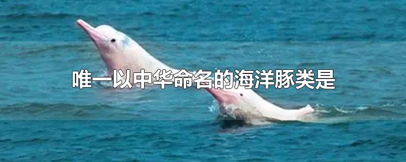 唯一以中华命名的海洋豚类是中华白海豚(唯一以中华命名的海洋豚类是哪个)