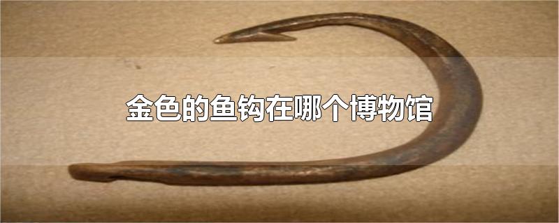 金色的鱼钩在哪个博物馆里(金色的鱼钩中的鱼钩放在博物馆里的介绍)