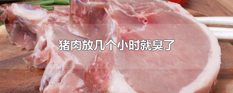 猪肉放几个小时就臭了怎么处理(猪肉放几个小时就臭了还能吃吗?)