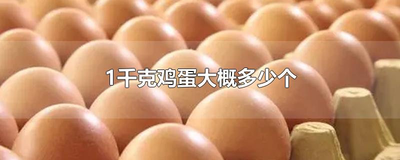 1千克鸡蛋大概多少个,1千克的鸡蛋有多少个