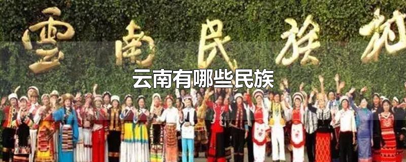 云南有哪些民族文化和特色(云南民族大学有哪些专业)