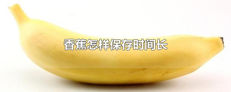 香蕉怎么才能快速催熟(香蕉怎样保存时间长)