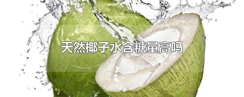 天然椰子水含糖量高吗糖尿病人可以喝吗(天然椰子水含糖量高吗)