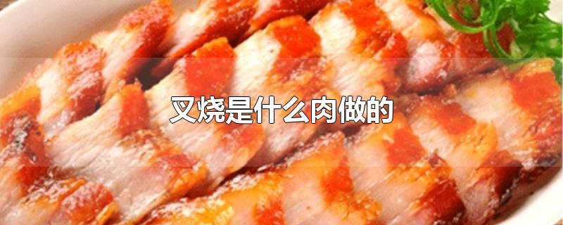 日式叉烧是什么肉做的(叉烧是什么肉做的)