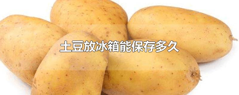 保存土豆的最好方法是什么(土豆的保鲜方法有哪些)