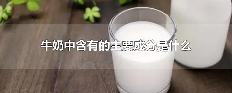 牛奶中含有的主要成分是什么 – 糗问(牛奶中的成分有哪些)