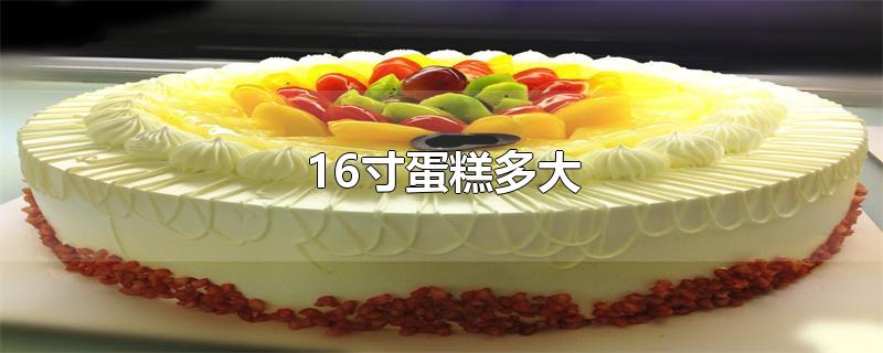 16寸蛋糕多大适合多少人吃(16寸蛋糕多大直观图)