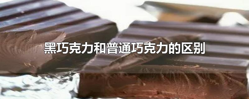 黑巧克力与普通巧克力的区别(黑巧克力和白巧克力的区别)