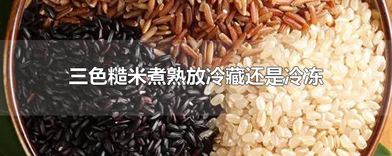 三色糙米煮熟冷冻可以保存多久,三色糙米煮熟以后能放冰箱吗
