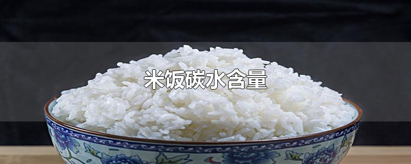 米饭碳水含量100g(米饭碳水含量高吗)