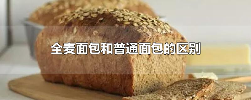 全麦面包和普通面包的区别热量(全麦面包十大排行榜)