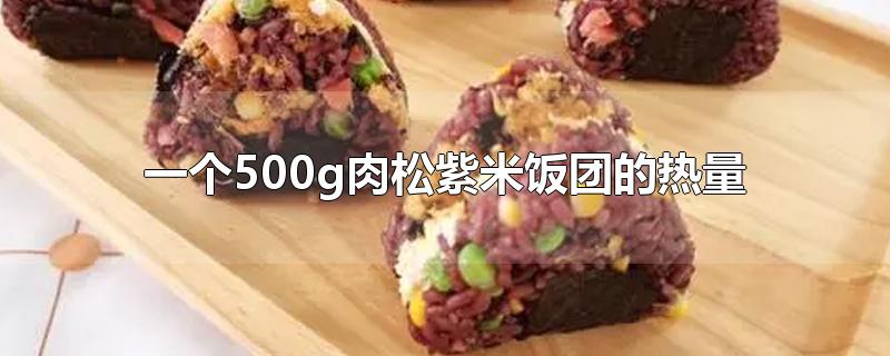 一个500g肉松紫米饭团的热量(一份台湾紫米肉松饭团的热量)