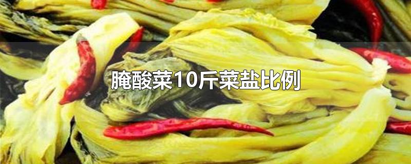 腌酸菜10斤菜盐比例(腌酸菜10斤菜放多少盐)